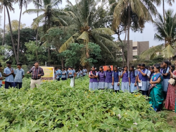Tour for Organic Farming School Students