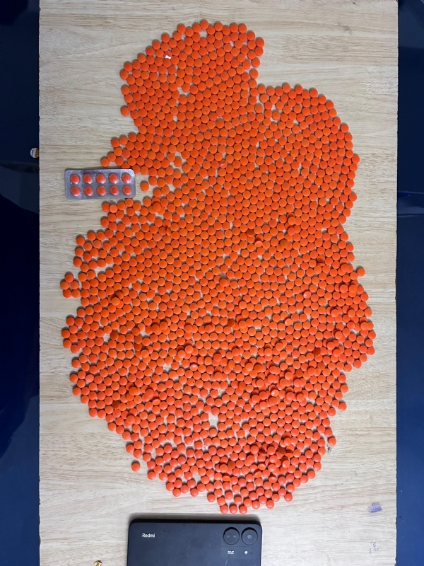 Pills worth Rs 5 lakh smuggled from Pune to Coimbatore by train and sold: 1,640 tablets seized and one person arrested in a city special police operation!