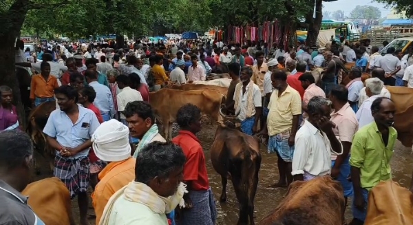 சந்தை