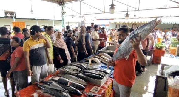 Even after the month of Purattasi ended, the Ukkadam fish market in Coimbatore remained deserted