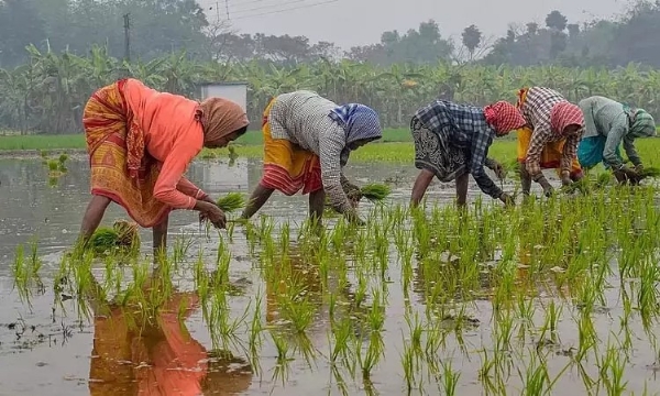 மழையால் பாதிக்கப்பட்ட 23 மாவட்டங்களுக்கு நிவராணம் வழங்க ரூ.3,258 கோடி நிதி உதவி வழங்க மராட்டிய அரசு ஒப்புதல்