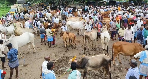 தீபாவளி