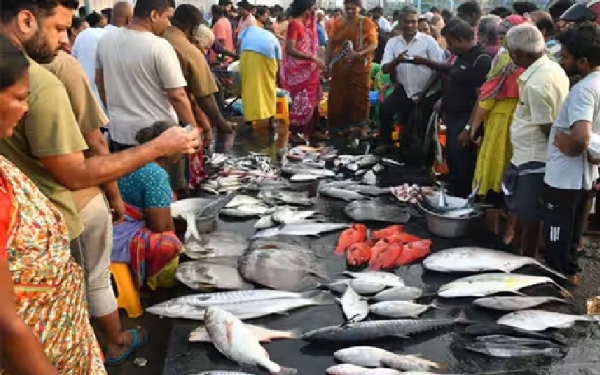 புரட்டாசி மாதம் நிறைவு - இன்று மீன் மார்க்கெட்டில் குவிந்த அசைவ பிரியர்கள்