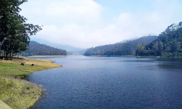 பராமரிப்பு பணி காரணமாக 2 நாட்கள் கொடைக்கானல் பேரிஜம் ஏரிக்கு செல்ல தடை
