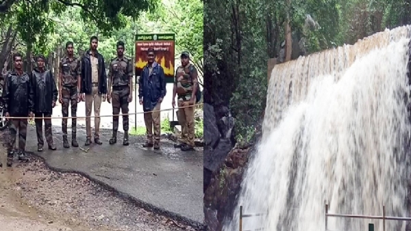 சுருளி அருவியில் பராமரிப்பு பணிகள் நிறைவடைந்த பின்னர் குளிக்க அனுமதி - வனத்துறை தகவல்