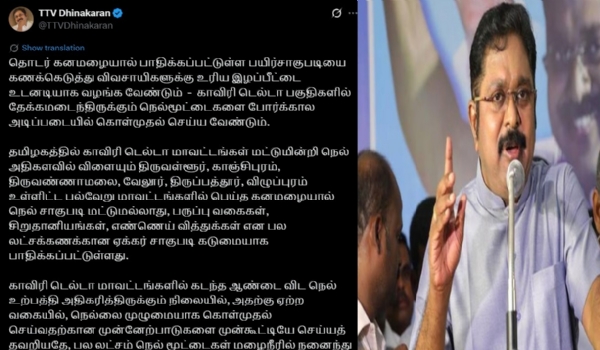 மழைநீரில் மூழ்கி சேதமடைந்த பயிர்களை கணக்கெடுத்து உரிய இழப்பீடு வழங்க வேண்டும் - டிடிவி தினகரன் கோரிக்கை