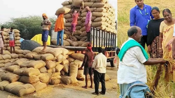 நெல் ஈரப்பதம் விவகாரம் குறித்த மத்திய அரசின் நிபுணர்கள் குழுவின் ஆய்வு ஒத்திவைப்பு