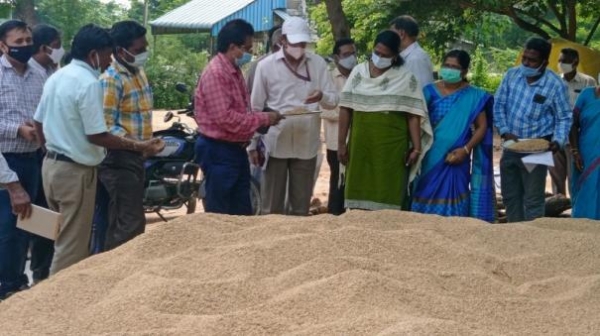 தமிழகத்தில் கனமழையால் நெல் பாதிப்பு - மத்திய குழு இன்று முதல் ஆய்வு தமிழகத்தில் கனமழையால் நெல் பாதிப்பு - மத்திய குழு இன்று முதல் ஆய்வு