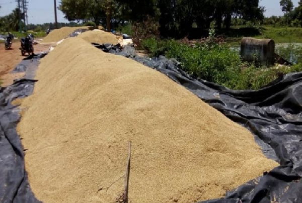 நெல் கொள்முதலுக்கான ஈரப்பதம் தொடர்பாக செங்கல்பட்டு மாவட்டத்தில் ஒன்றிய குழு இன்று ஆய்வு நெல் கொள்முதலுக்கான ஈரப்பதம் தொடர்பாக செங்கல்பட்டு மாவட்டத்தில் ஒன்றிய குழு இன்று ஆய்வு