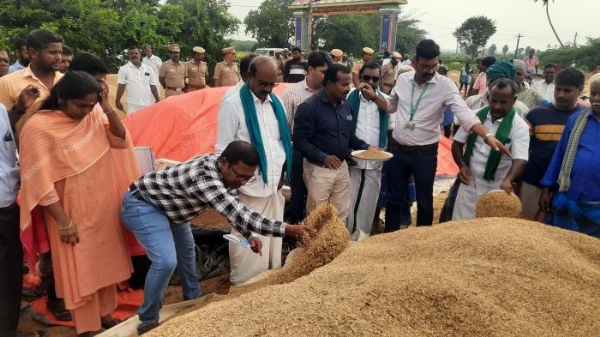 நெல்லின் ஈரப்பதம் குறித்து மத்திய குழுவினர் தஞ்சாவூரில் இன்று ஆய்வு நெல்லின் ஈரப்பதம் குறித்து மத்திய குழுவினர் தஞ்சாவூரில் இன்று ஆய்வு