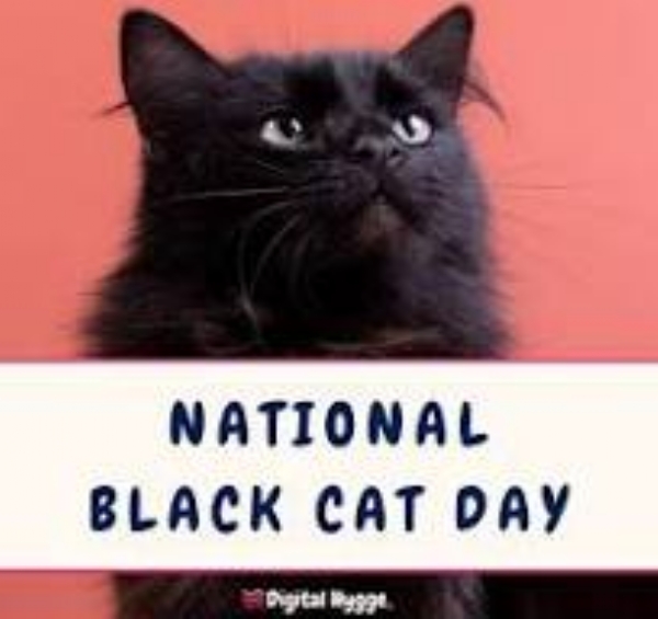 இன்று (அக்டோபர் 27) தேசிய கருப்பு பூனை தினம் இன்று (அக்டோபர் 27) தேசிய கருப்பு பூனை தினம்