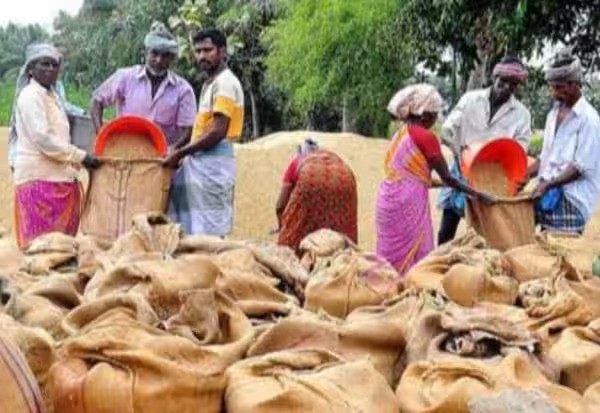 மாநிலம் முழுதும் 62,750 டன் கொள்ளளவு உடைய 67 நெல் சேமிப்பு கிடங்குகள் கட்டுமான பணி நடப்பதாக அரசு தகவல் மாநிலம் முழுதும் 62,750 டன் கொள்ளளவு உடைய 67 நெல் சேமிப்பு கிடங்குகள் கட்டுமான பணி நடப்பதாக அரசு தகவல்