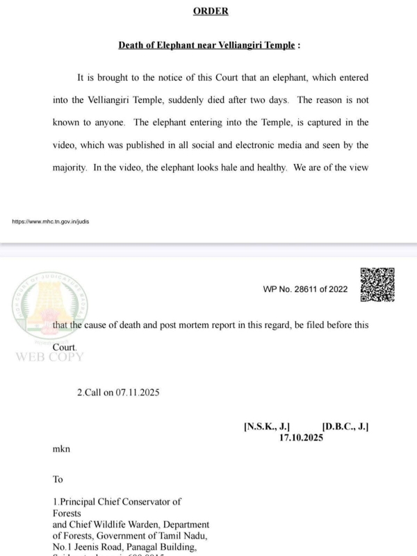 The reason for the death of the elephant that entered the Velliyangiri Temple premises in Coimbatore is not definitively known. The reason for the death of the elephant that entered the Velliyangiri Temple premises in Coimbatore is not definitively known.