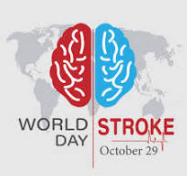 இன்று (அக்டோபர் 29) உலக பக்கவாத நாள்