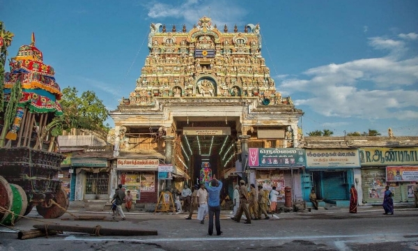 நெல்லையப்பர் கோயிலுக்கு யானையை கொண்டு வர தடை கோரிய வழக்கில் வனத்துறை, மற்றும் அறநிலையத் துறை பதிலளிக்க நீதிமன்றம் உத்தரவு