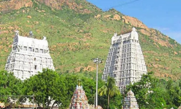 வருகிற 4-ந் தேதி ஐப்பசி மாத பவுர்ணமியையொட்டி அருணாசலேஸ்வரர் கோவிலில் அன்னாபிஷேகம் வருகிற 4-ந் தேதி ஐப்பசி மாத பவுர்ணமியையொட்டி அருணாசலேஸ்வரர் கோவிலில் அன்னாபிஷேகம்