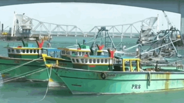 எல்லை தாண்டி மீன் பிடித்ததாகக் கூறி தமிழக மீனவர்கள் 14 பேர் கைது - இலங்கை கடற்படை நடவடிக்கை எல்லை தாண்டி மீன் பிடித்ததாகக் கூறி தமிழக மீனவர்கள் 14 பேர் கைது - இலங்கை கடற்படை நடவடிக்கை