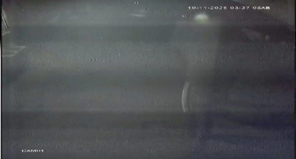 CCTV footage has emerged showing a wild elephant charging toward a person who shone a torchlight in the Thadagam area of Coimbatore. CCTV footage has emerged showing a wild elephant charging toward a person who shone a torchlight in the Thadagam area of Coimbatore.