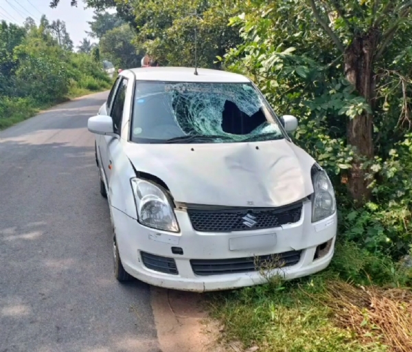 Murder Attempt Murder Attempt