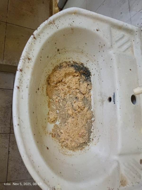 Unhygienic conditions found in the Coimbatore Government College of Technology hostel kitchen: Food Safety Department officials conduct inspection and decide to issue notice seeking an explanation.