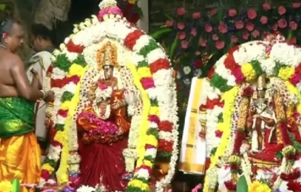 நெல்லையப்பர் கோவிலில் இன்று ஐப்பசி திருக்கல்யாண வைபவம் நெல்லையப்பர் கோவிலில் இன்று ஐப்பசி திருக்கல்யாண வைபவம்