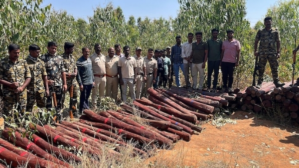 Red Sandal wood seized Red Sandal wood seized