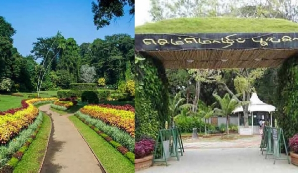 ரூ.214 கோடியில் உருவாகும் கோவை செம்மொழி பூங்கா - இறுதிக்கட்ட பணிகள் தீவிரம் ரூ.214 கோடியில் உருவாகும் கோவை செம்மொழி பூங்கா - இறுதிக்கட்ட பணிகள் தீவிரம்