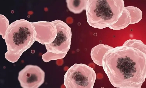 கேரளாவை அச்சுறுத்தும் அமீபா மூளைக்காய்ச்சல் பலி எண்ணிக்கை 40 ஆக உயர்வு - திருவனந்தபுரம் மாவட்டத்தில் மட்டும் 8 பேர் இறந்துள்ளதாக சுகாதாரத்துறையினர் தகவல்