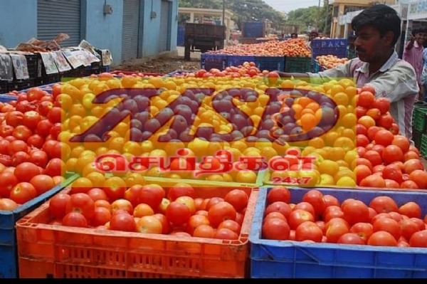 தக்காளி தக்காளி