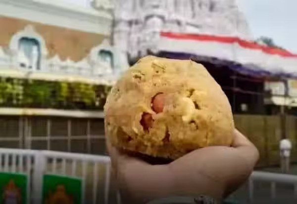 திருமலை ஏழுமலையான் கோவிலில் கடந்த, 2019 - 24 வரையிலான காலக்கட்டத்தில் 20 கோடி லட்டுகள் கலப்பட நெய்யால் தயாரிக்கப்பட்டவை - தேவஸ்தான தலைவர் அதிர்ச்சி தகவல்