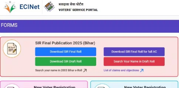 வாக்காளர் ஐடியை ஆன்லைனில் பெறுவது மற்றும் வாக்காளர் பட்டியலில் பெயரை சரிபார்ப்பது எப்படி வாக்காளர் ஐடியை ஆன்லைனில் பெறுவது மற்றும் வாக்காளர் பட்டியலில் பெயரை சரிபார்ப்பது எப்படி