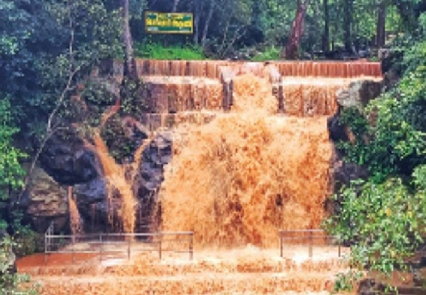 வெள்ளப்பெருக்கு காரணமாக பெரியார் நீர்வீழ்ச்சியில் குளிக்க தடை - வனத்துறை அறிவிப்பு