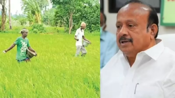 டிச  1ஆம் தேதி வரை பயிர்க்காப்பீடு செய்ய அனுமதி - தமிழக அரசு அறிவிப்பு