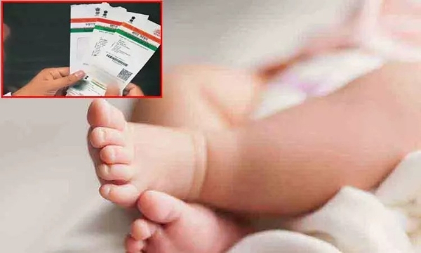 ஜார்கண்ட் சக்ரதார்பூர் ரெயில்வே ஆஸ்பத்திரியில் பிறந்த குழந்தைகளுக்கு ஆதார் வழங்கும் நடைமுறை தொடக்கம் ஜார்கண்ட் சக்ரதார்பூர் ரெயில்வே ஆஸ்பத்திரியில் பிறந்த குழந்தைகளுக்கு ஆதார் வழங்கும் நடைமுறை தொடக்கம்