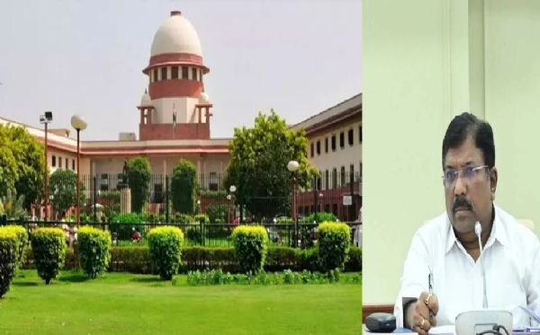 தெரு நாய்கள் தொடர்பான வழக்கில் தமிழக தலைமை செயலாளர் உச்ச நீதிமன்றத்தில் நேரில் ஆஜர்