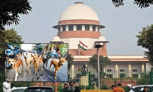 வரும் 7ம் தேதி தெரு நாய்கள் வழக்கில்  தீர்ப்பு அளிக்கப்படும் - சுப்ரீம் கோர்ட்டு அறிவிப்பு