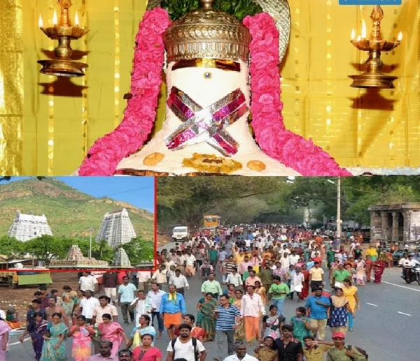 திருவண்ணாமலையில் அண்ணாமலையாருக்கு அன்னாபிஷேகம் - இன்று திரளான பக்தர்கள் கிரிவலம்