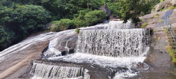Continuous rain impact: The Coimbatore Courtallam, which was closed due to flooding, will reopen from tomorrow, according to a Forest Department announcement. Continuous rain impact: The Coimbatore Courtallam, which was closed due to flooding, will reopen from tomorrow, according to a Forest Department announcement.