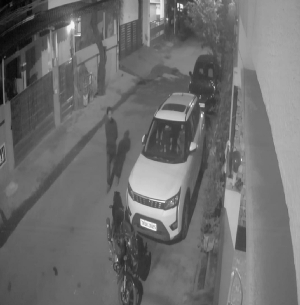 Coimbatore: CCTV footage has emerged showing a man brutally killing puppies by hitting them with stones near Saravanampatti at night, causing widespread shock. Coimbatore: CCTV footage has emerged showing a man brutally killing puppies by hitting them with stones near Saravanampatti at night, causing widespread shock.