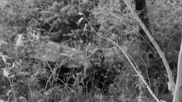 ஏற்காடு மலைப்பாதை பள்ளத்தில் கார் கவிழ்ந்த விபத்தில் ஒருவர் உயிரிழப்பு - 2 பேர் படுகாயம் ஏற்காடு மலைப்பாதை பள்ளத்தில் கார் கவிழ்ந்த விபத்தில் ஒருவர் உயிரிழப்பு - 2 பேர் படுகாயம்