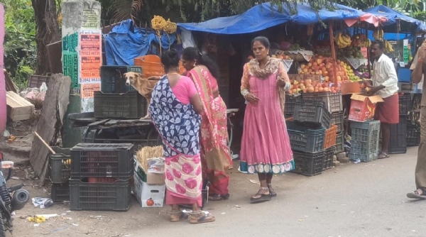 A stray dog roaming near Gandhipuram bus station in Coimbatore was severely injured after being hit by a bus A stray dog roaming near Gandhipuram bus station in Coimbatore was severely injured after being hit by a bus