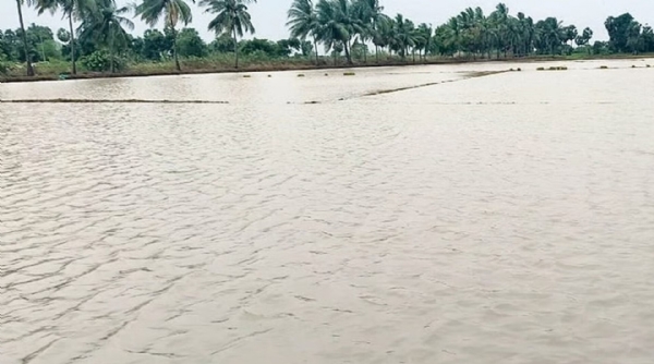 Cuddalore Farming Land Cuddalore Farming Land