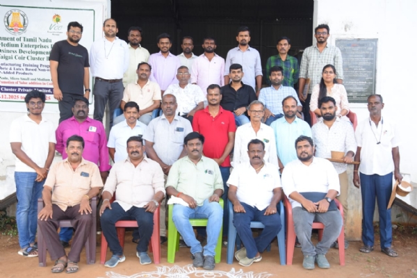 தென்னை தென்னை