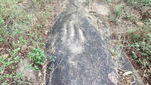 Neolithic Tool Neolithic Tool