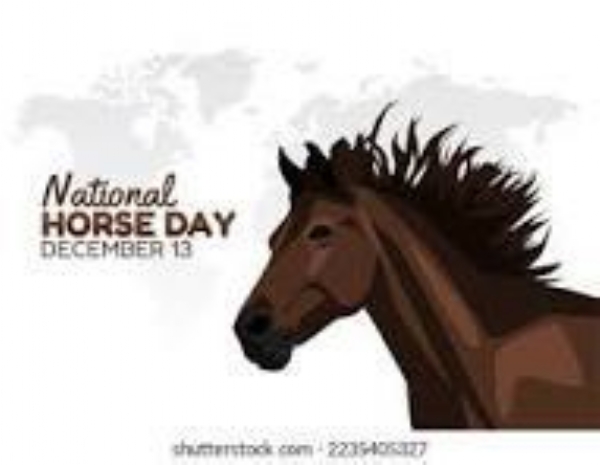 இன்று (டிசம்பர் 13) தேசிய குதிரை தினம் இன்று (டிசம்பர் 13) தேசிய குதிரை தினம்