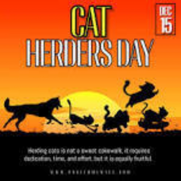 இன்று (டிசம்பர் 15) தேசிய பூனை மேய்ப்போர் தினம் இன்று (டிசம்பர் 15) தேசிய பூனை மேய்ப்போர் தினம்