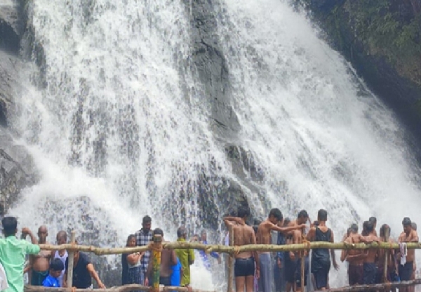 வெள்ளப்பெருக்கு காரணமாக கவியருவியில் குளிக்க தடை - வனத்துறை அறிவிப்பு வெள்ளப்பெருக்கு காரணமாக கவியருவியில் குளிக்க தடை - வனத்துறை அறிவிப்பு