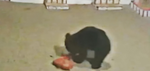 Nellai Hills Station Nellai Hills Station