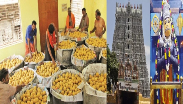 நாளை சுசீந்திரம் கோவிலில் ஆஞ்சநேயர் ஜெயந்தி விழா - முன்னேற்பாடுகள் தீவிரம் நாளை சுசீந்திரம் கோவிலில் ஆஞ்சநேயர் ஜெயந்தி விழா - முன்னேற்பாடுகள் தீவிரம்