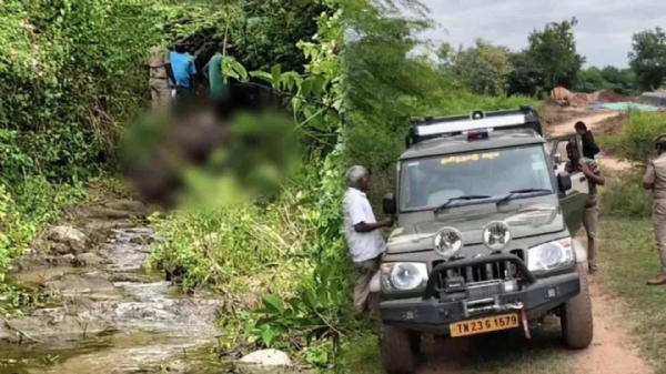Vellore Elephant Vellore Elephant